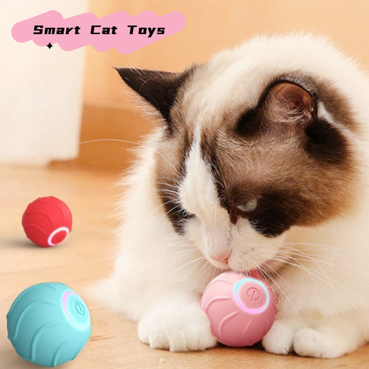 Interactive Dog Toys Dog Ball